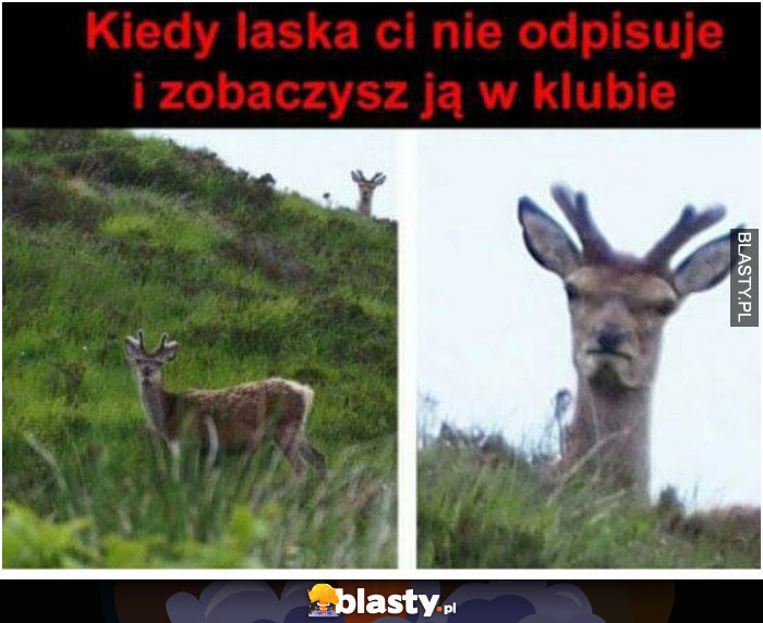 Kiedy laska ci nie odpisuje i zobaczysz ja w klubie