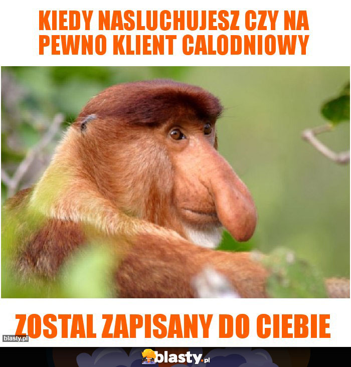 kiedy nasluchujesz czy na pewno klient calodniowy