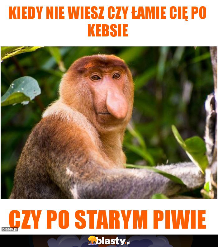 Kiedy nie wiesz czy łamie Cię po kebsie