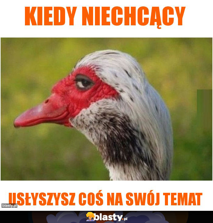 Kiedy niechcący