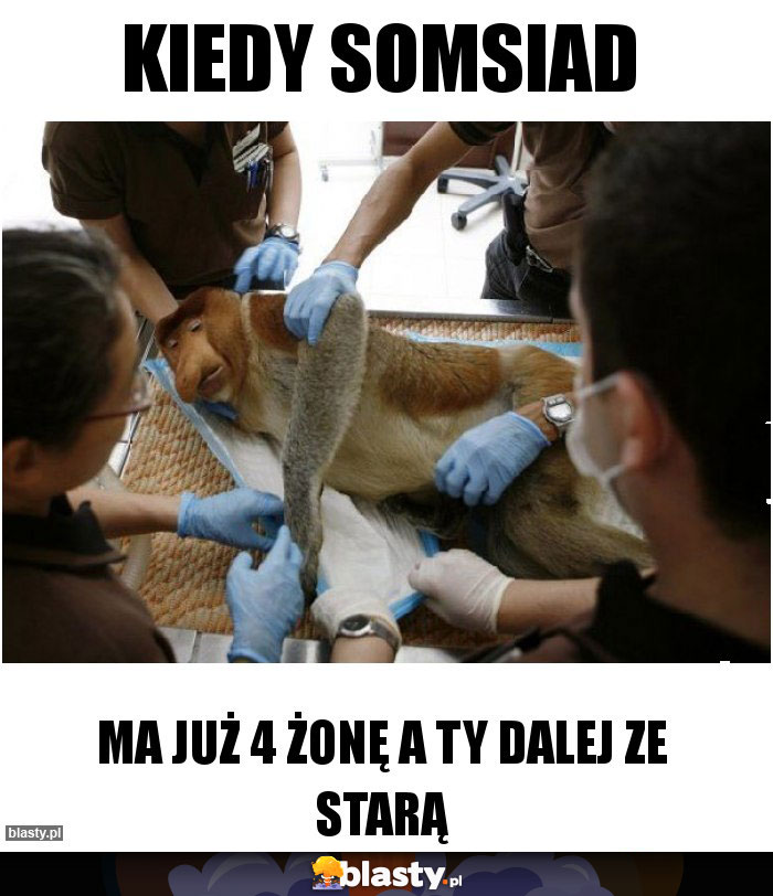 Kiedy somsiad