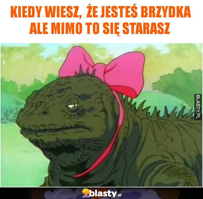 Kiedy wiesz,  że jesteś brzydka ale mimo to się starasz