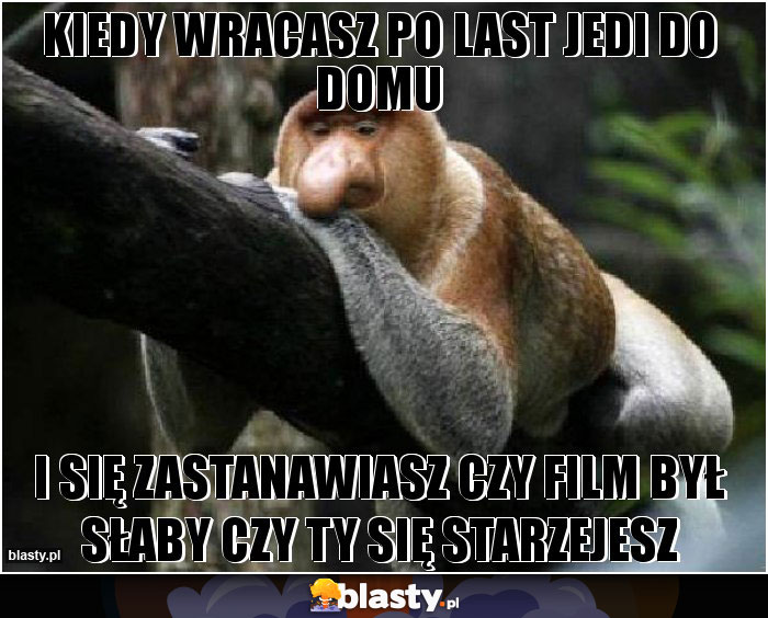 Kiedy wracasz po last jedi do domu