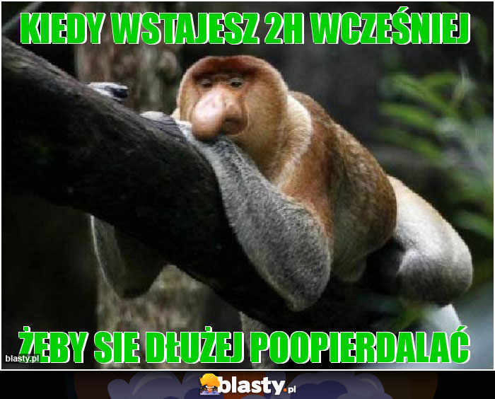 Kiedy wstajesz 2h wcześniej