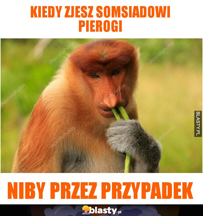 Kiedy zjesz somsiadowi pierogi