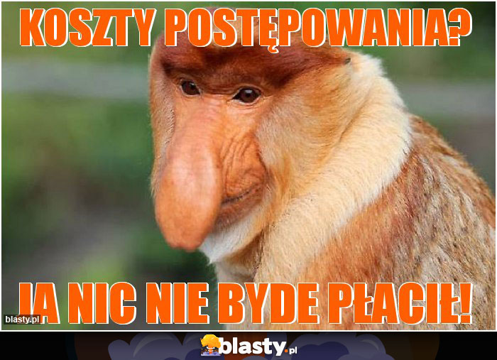 Koszty postępowania?