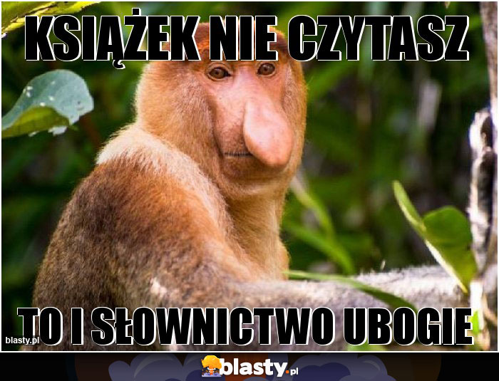 Książek nie czytasz