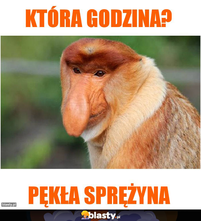 Która godzina?