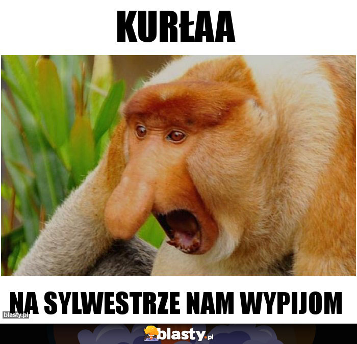 kurłaa