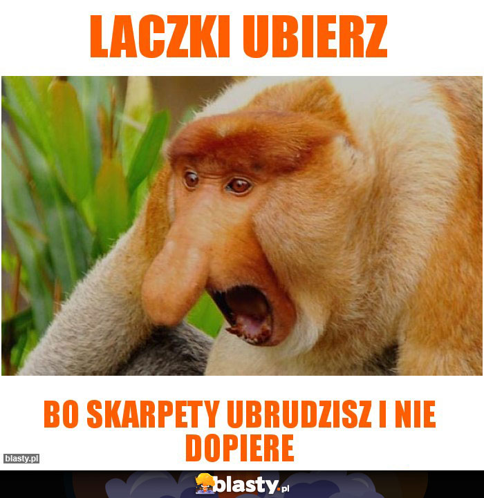 Laczki ubierz