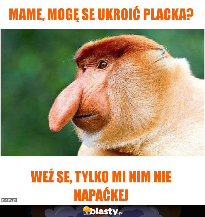 Mame, mogę se ukroić placka?