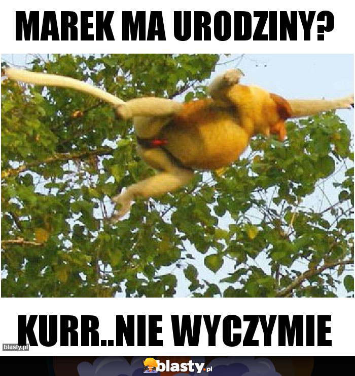 Marek ma urodziny?