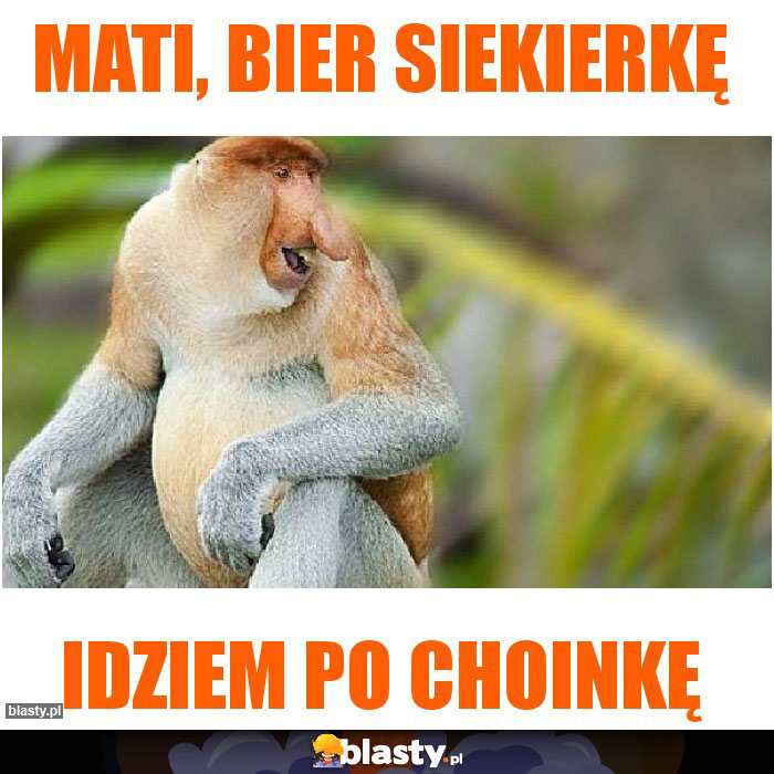 Mati, bier siekierkę