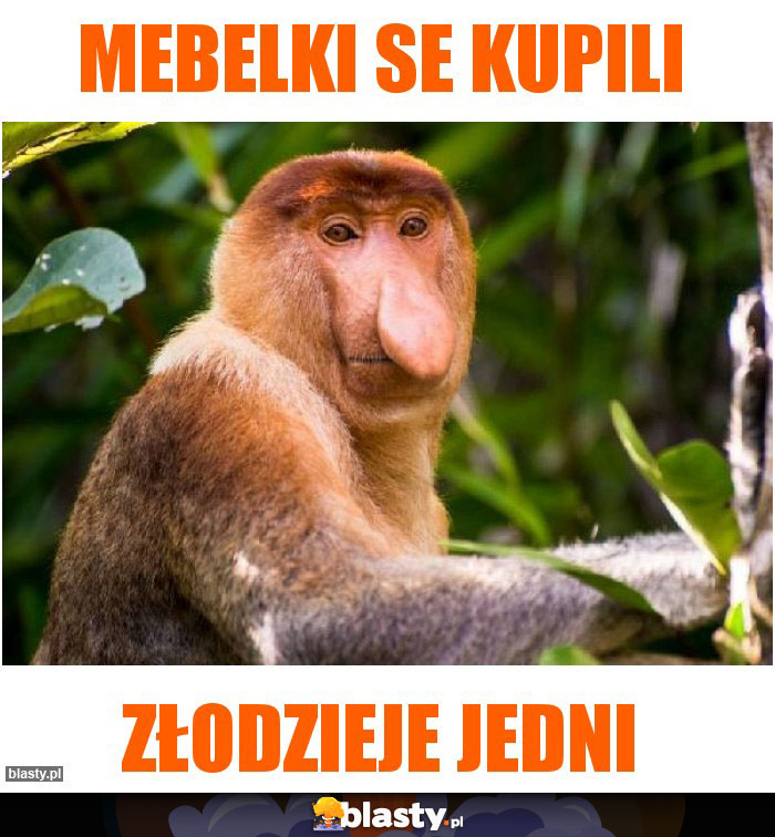 Mebelki se kupili