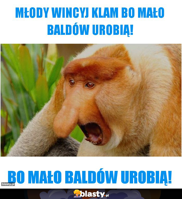 MŁODY WINCYJ KLAM BO MAŁO BALDÓW UROBIĄ!