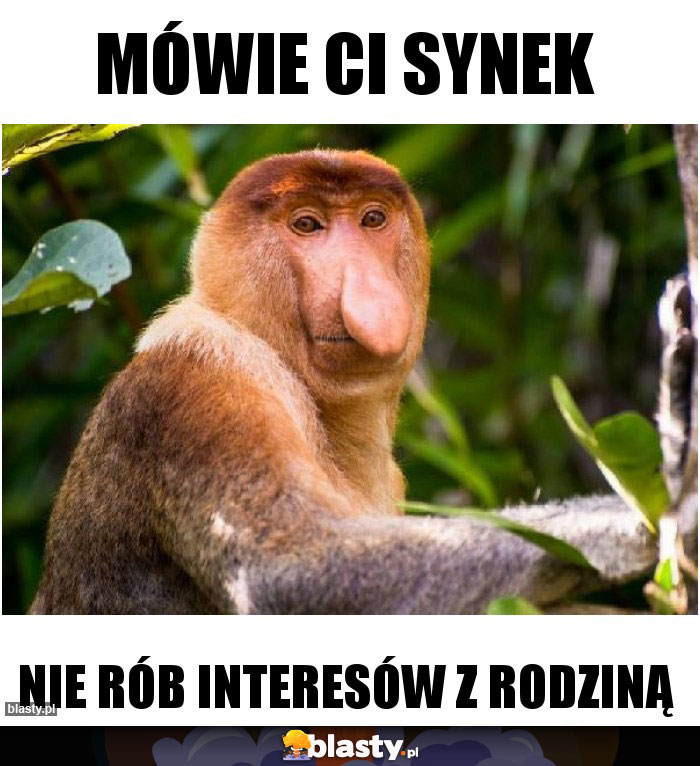 Mówie ci synek