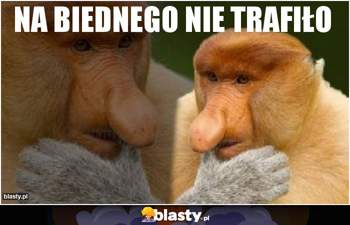 Na biednego nie trafiło