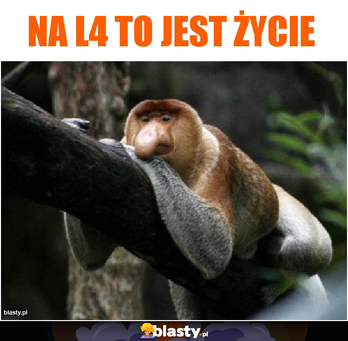 Na L4 to jest życie