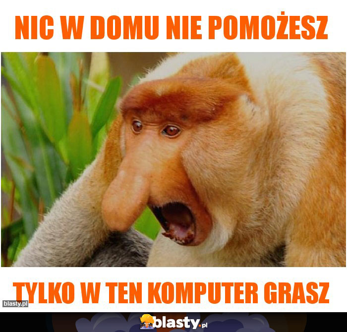 Nic w domu nie pomożesz