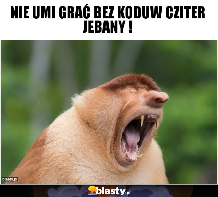 Nie umi grać bez koduw cziter jebany !