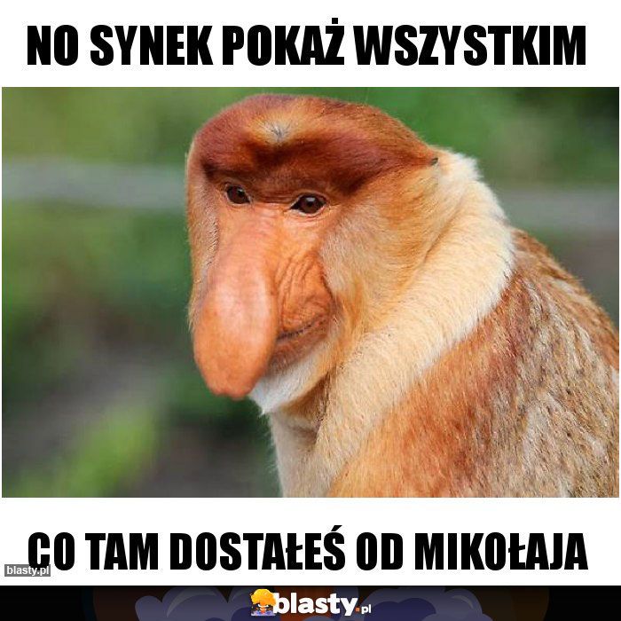 NO SYNEK POKAŻ WSZYSTKIM