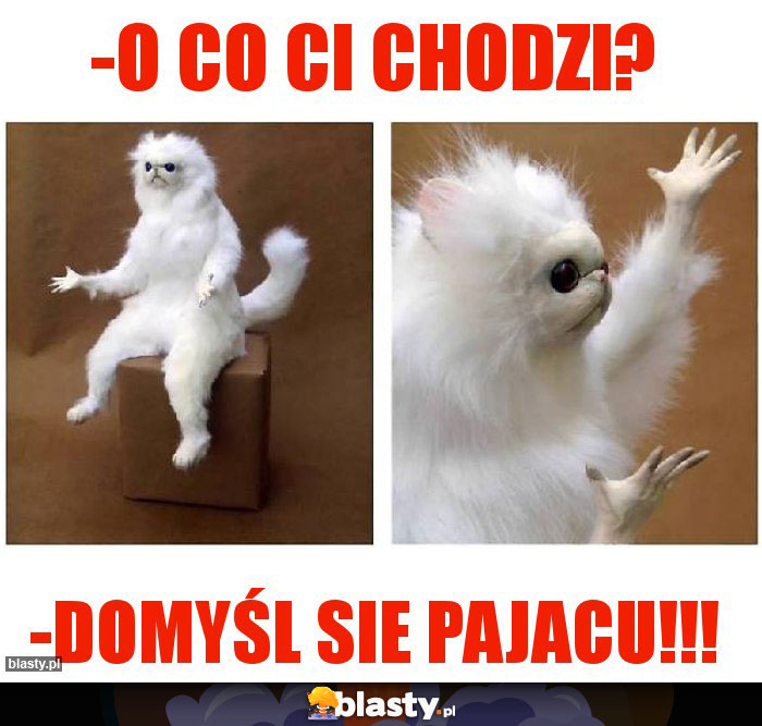 -O co ci chodzi?