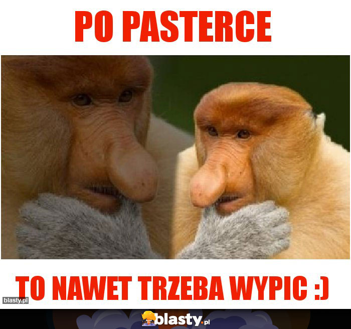 Po pasterce