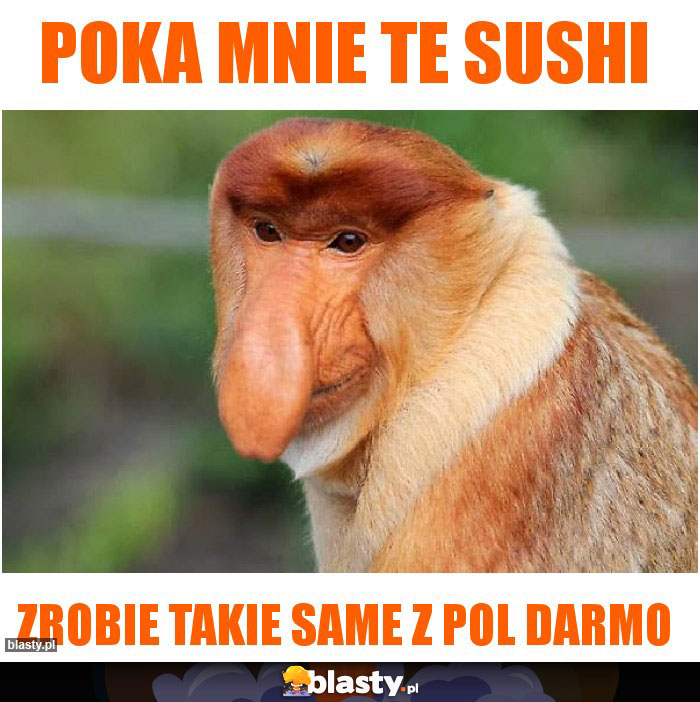 poka mnie te sushi