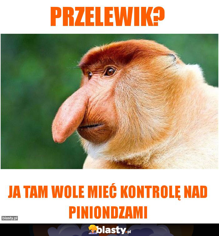 Przelewik?