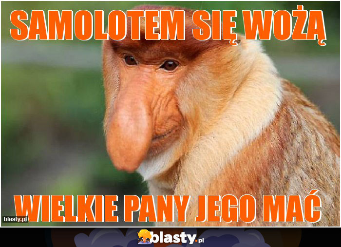 samolotem się wożą