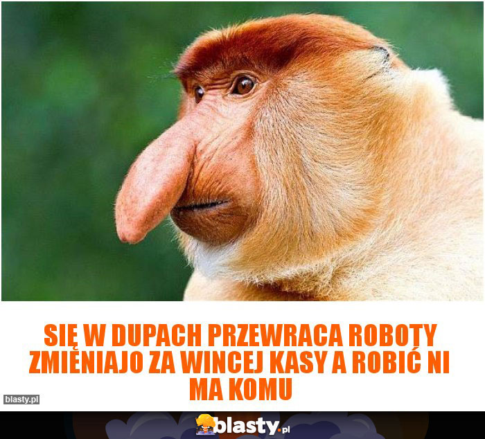 SIĘ w dupach przewraca roboty zmieniajo za wincej kasy a robić ni ma komu