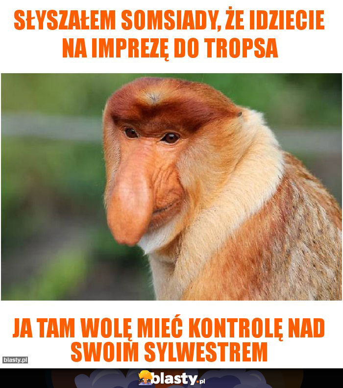 Słyszałem somsiady, że idziecie na imprezę do Tropsa