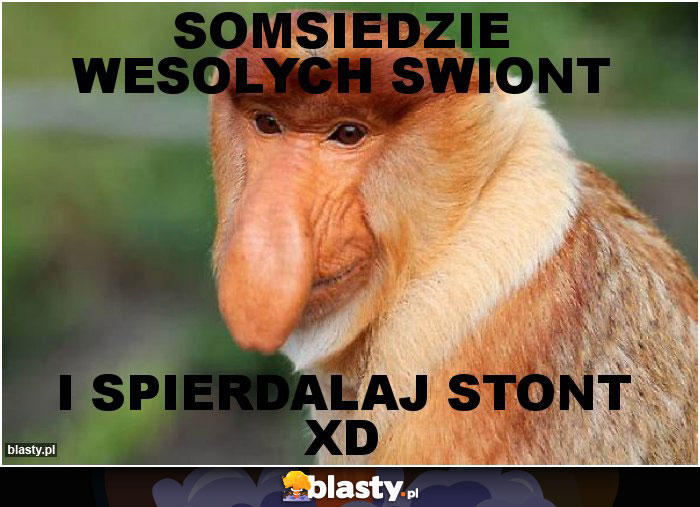 Somsiedzie wesolych swiont