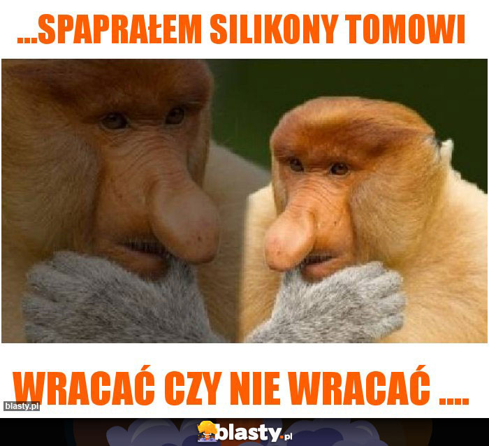 ...spaprałem silikony Tomowi