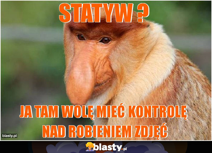 statyw ?