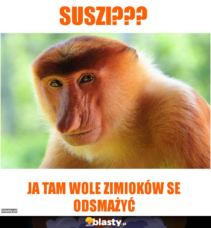 Suszi???