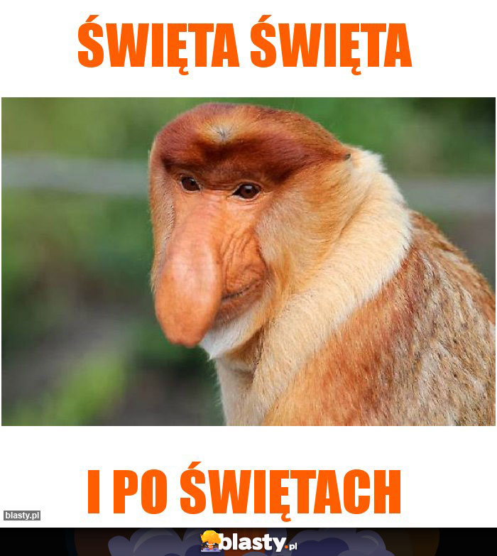 Święta Święta