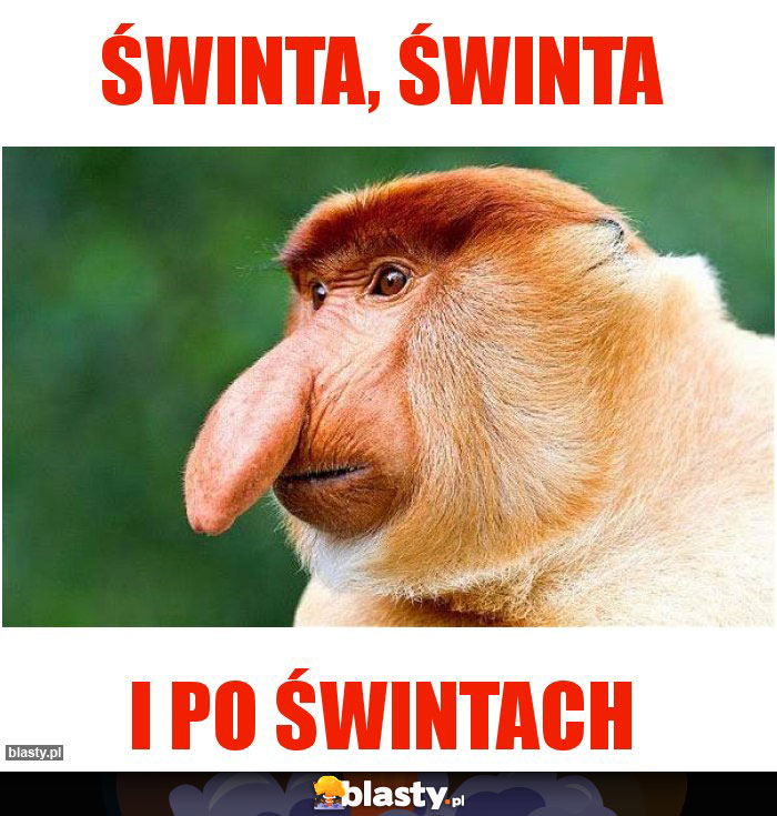 ŚWINTA, ŚWINTA