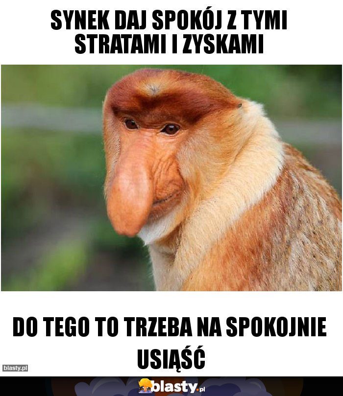 Synek daj spokój z tymi stratami i zyskami