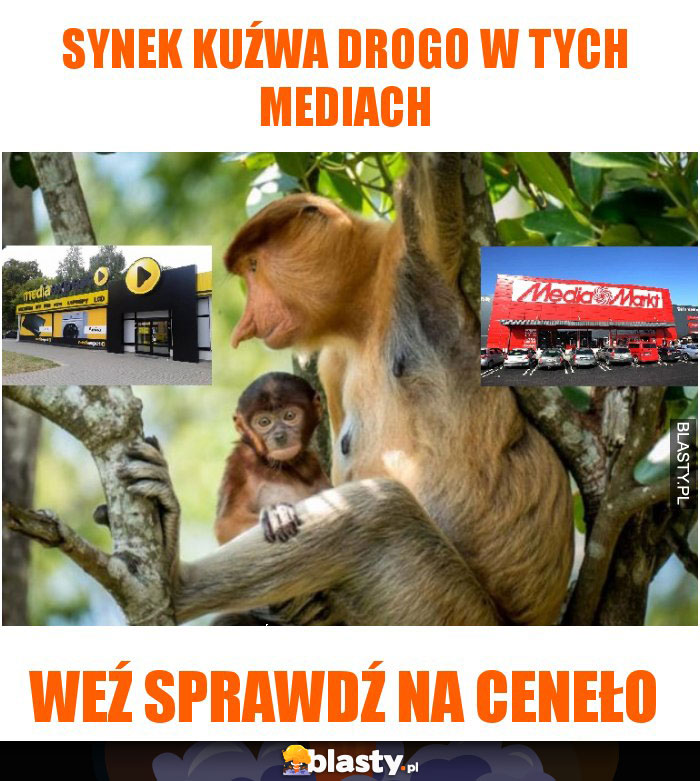 SYNEK KUŹWA DROGO W TYCH MEDIACH