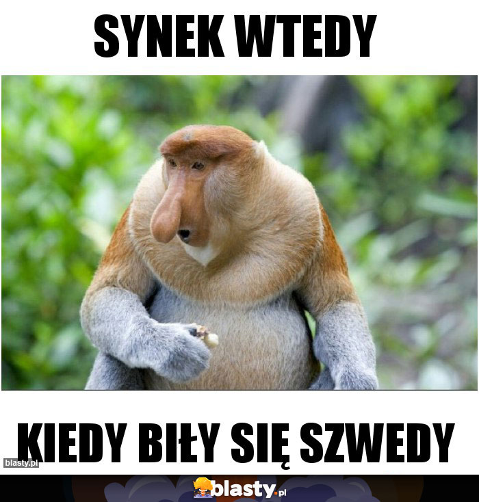 synek wtedy