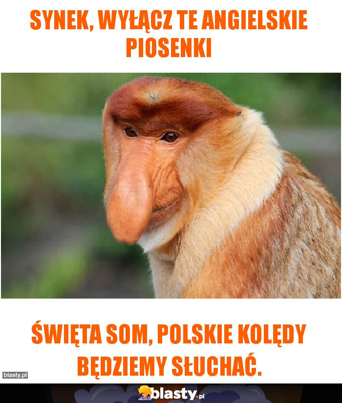 Synek, wyłącz te angielskie piosenki