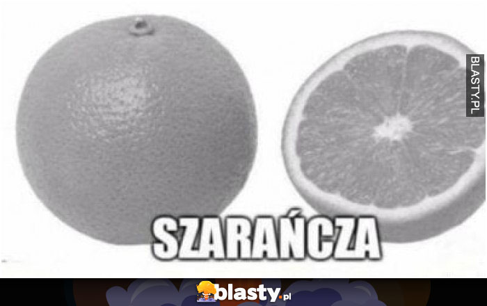 Szarańcza