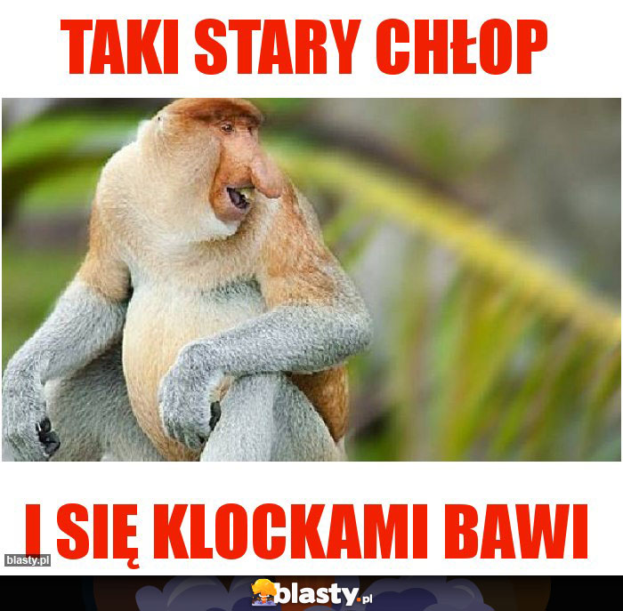 TAKI STARY CHŁOP