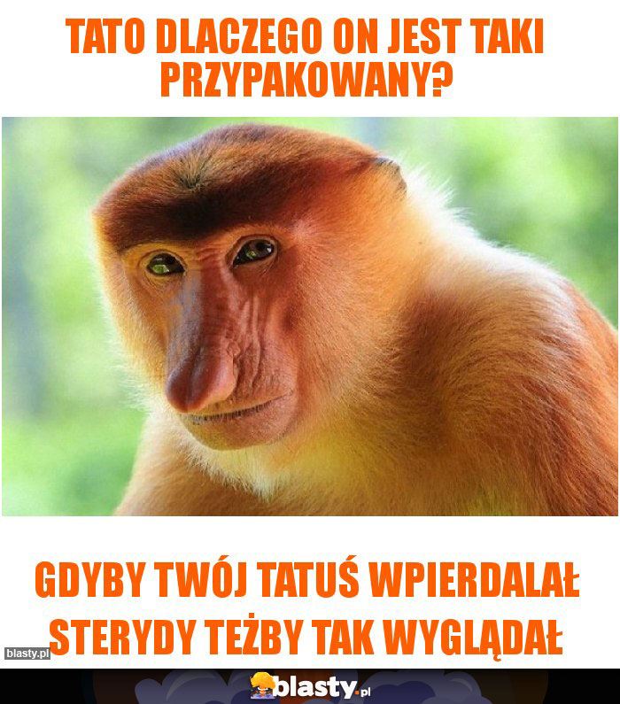 tato dlaczego on jest taki przypakowany?