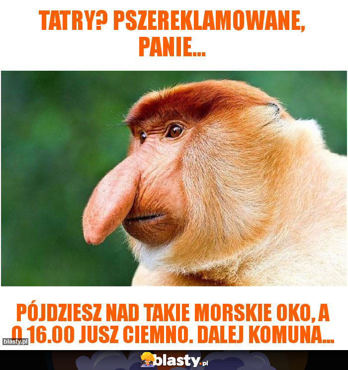 Tatry? Pszereklamowane, panie...