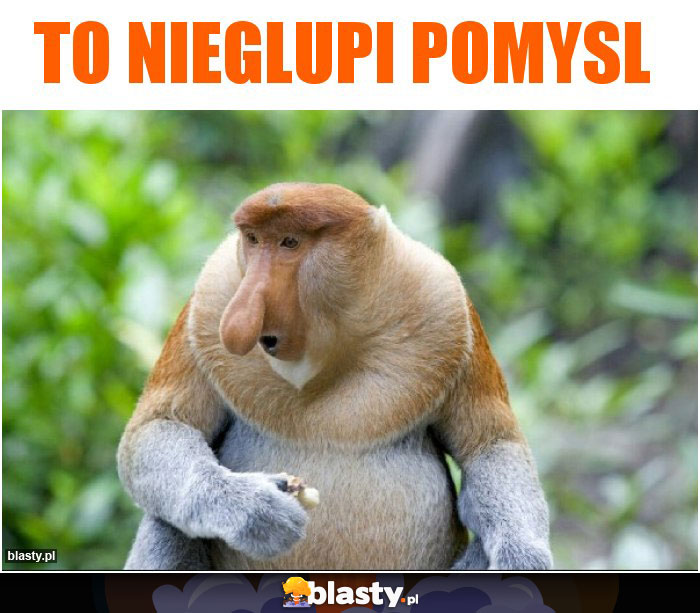 To nieglupi pomysl