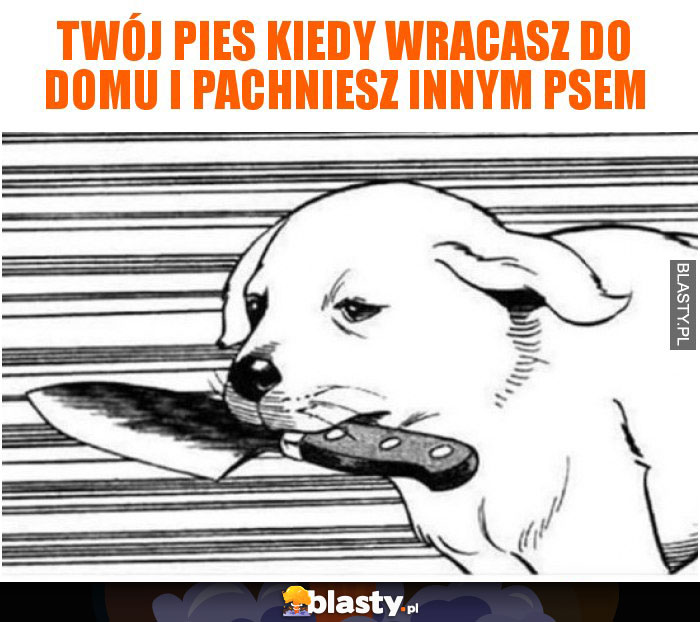 Twój pies kiedy wracasz do domu i pachniesz innym psem