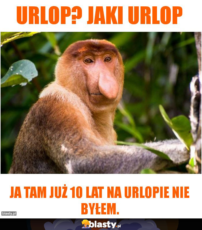 Urlop? jaki urlop