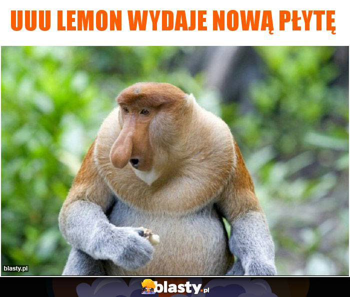 Uuu Lemon wydaje nową płytę